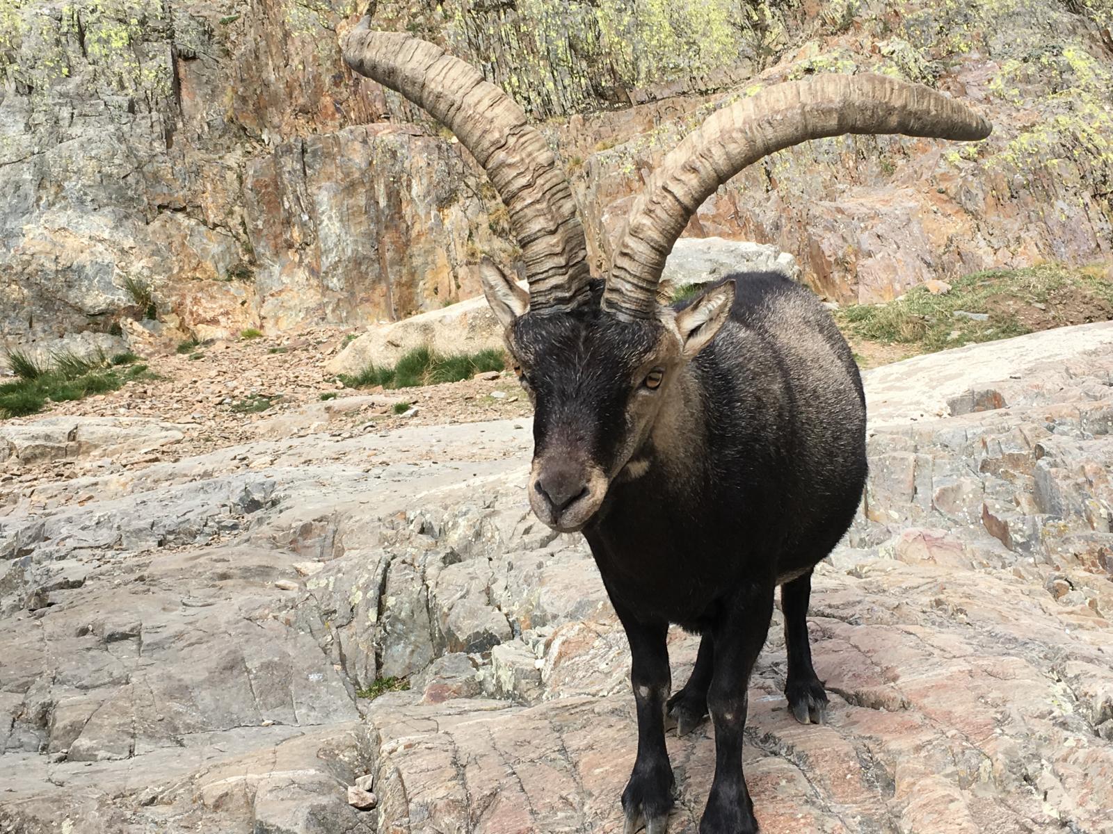 Cumbres repletas de sorprendente flora y fauna 